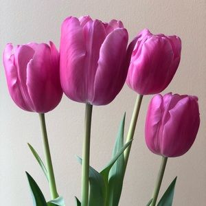 Meet your Posher, Narpinderjit